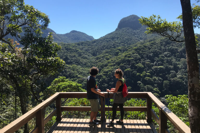 Tijuca Forest Immersion Hike | Hike in Rio