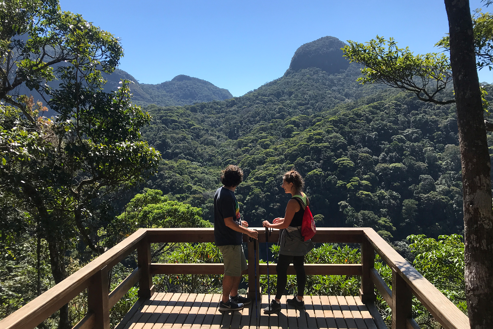 Tijuca Forest Immersion Hike | Hike in Rio