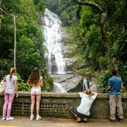 Floresta da Tijuca 10