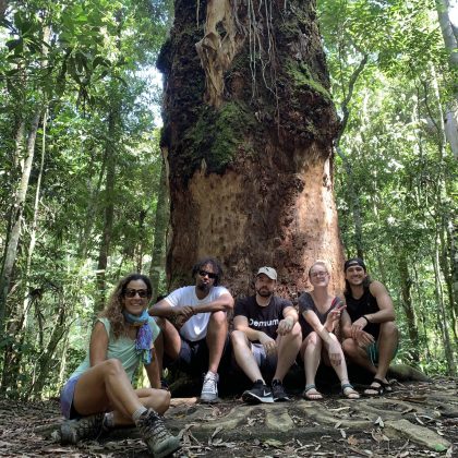 Floresta da Tijuca 11