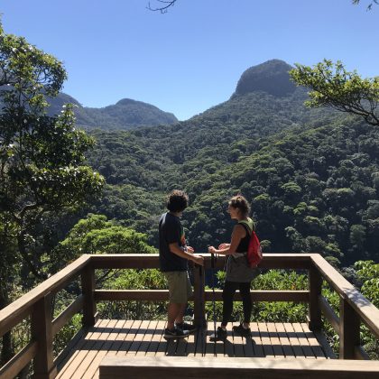 Floresta da Tijuca 8