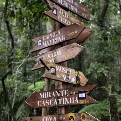 Floresta da Tijuca 9